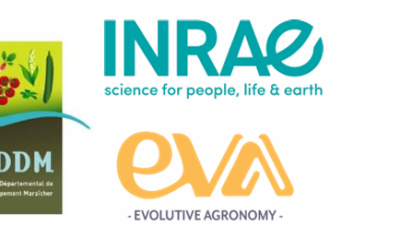 MELOMITES, un projet d’envergure pour faire émerger de nouvelles solutions de lutte contre les nématodes à galles